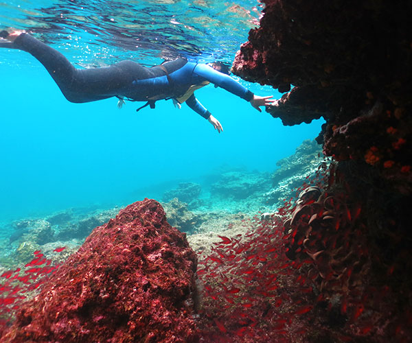 阿利雅号浮潜snorkeling-alya