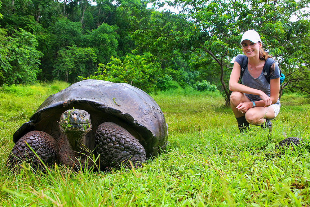 Galapagos giant tortoise with young woman (blurred in background) sitting next to it on Santa Cruz Island in Galapagos National Park, Ecuador. It is the largest living species of tortoise.