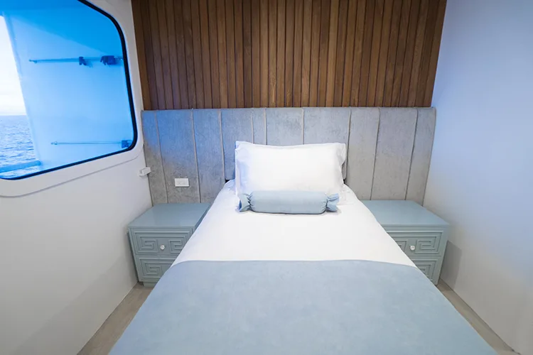 ocean-spray-single-stateroom-D15FF5