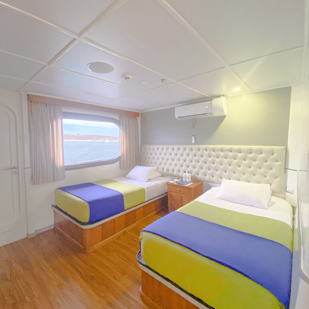 tip-top-ii-upper-deck-bed-01